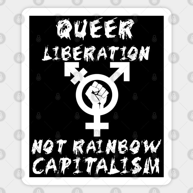 Queer Liberation Not Rainbow Capitalism LGBTQ Symbol - LGBT, Socialist, Anti Capitalist Magnet by SpaceDogLaika